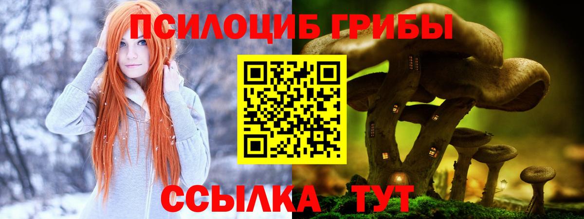 Борисоглебск  Псилоцибиновые грибы ЛСД  Вход с VPN 